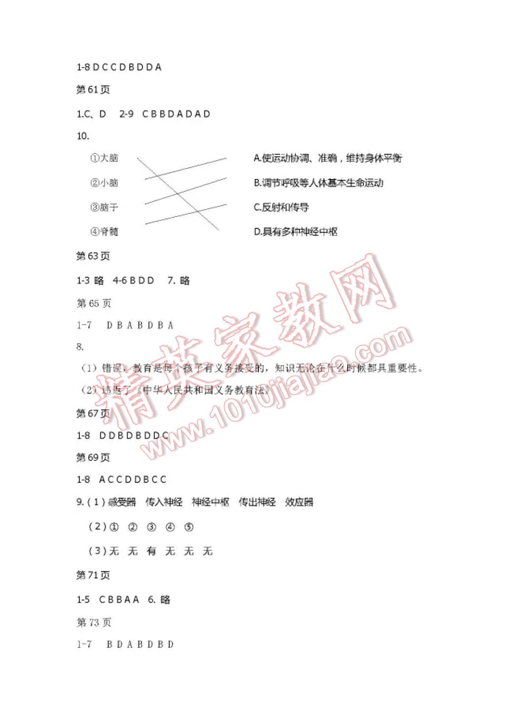 2017年暑假Happy假日七年級綜合五四制雞西專用 參考答案第5頁