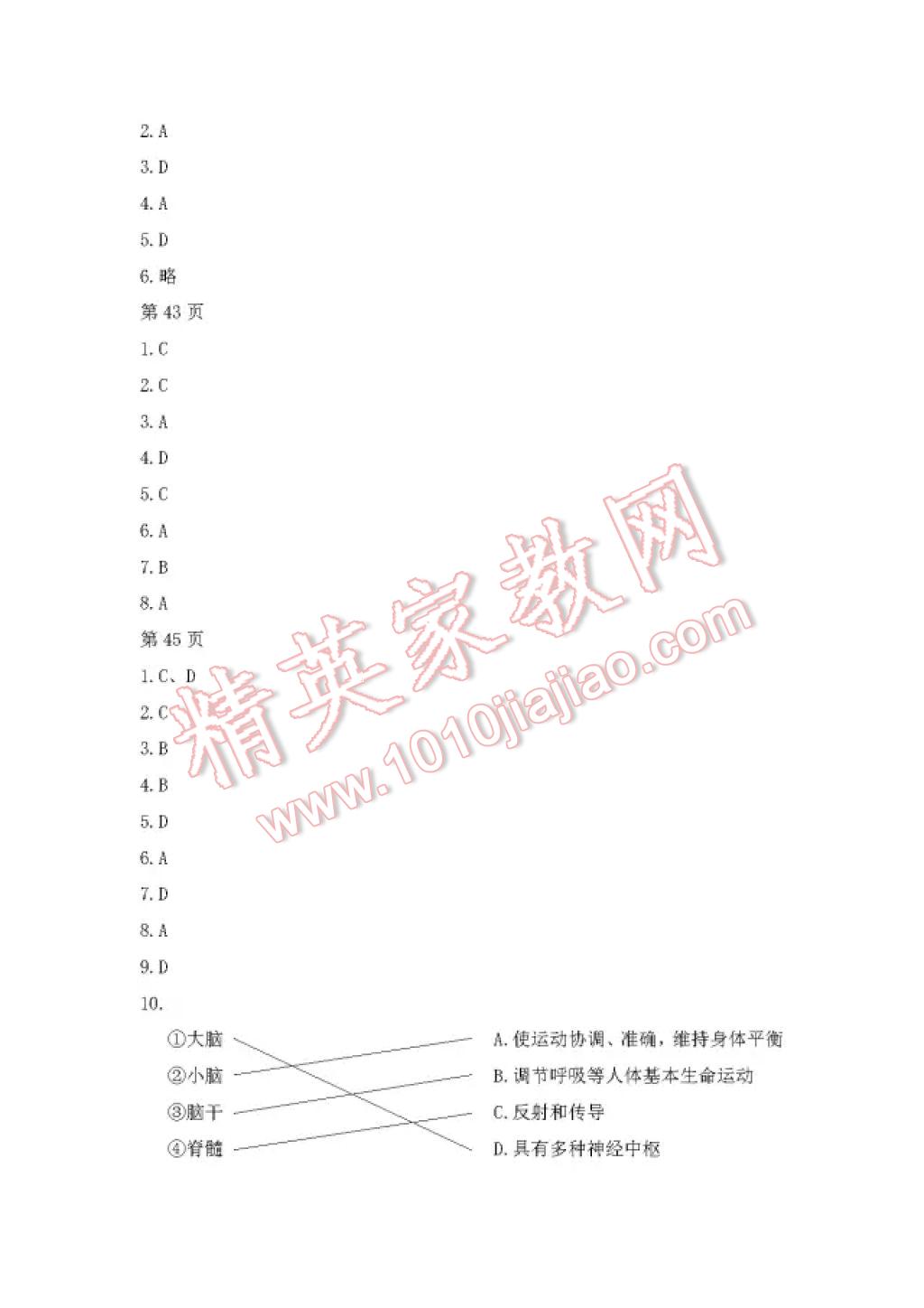 2017年暑假Happy假日六年级综合五四制 参考答案第8页