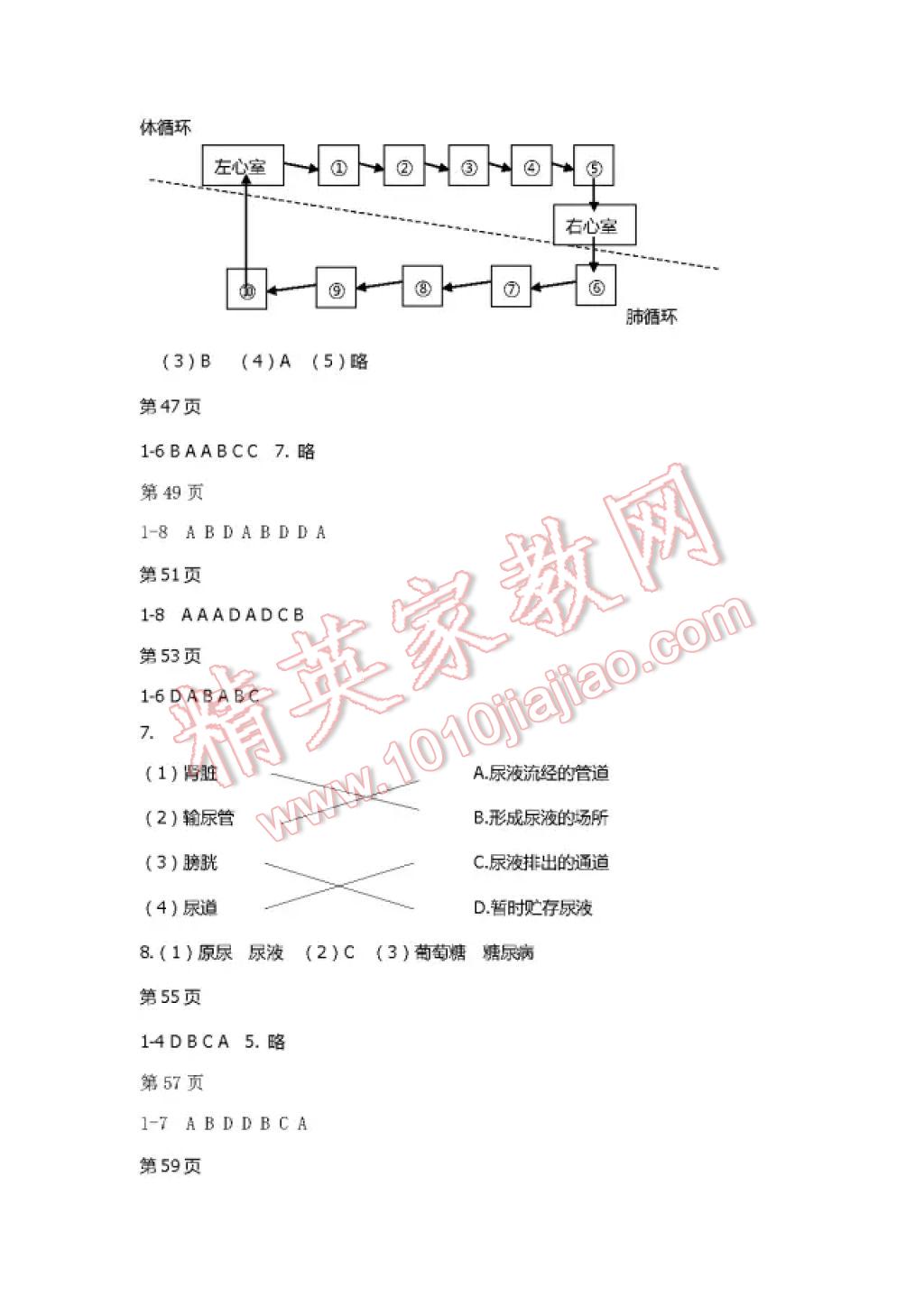 2017年暑假Happy假日七年级综合五四制鸡西专用 参考答案第4页