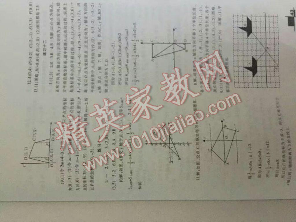 2017年暑假作业七年级数学人教版兰州大学出版社 参考答案第3页