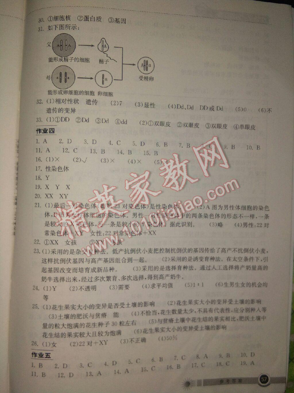 2017年长江作业本暑假作业八年级生物学 参考答案第3页