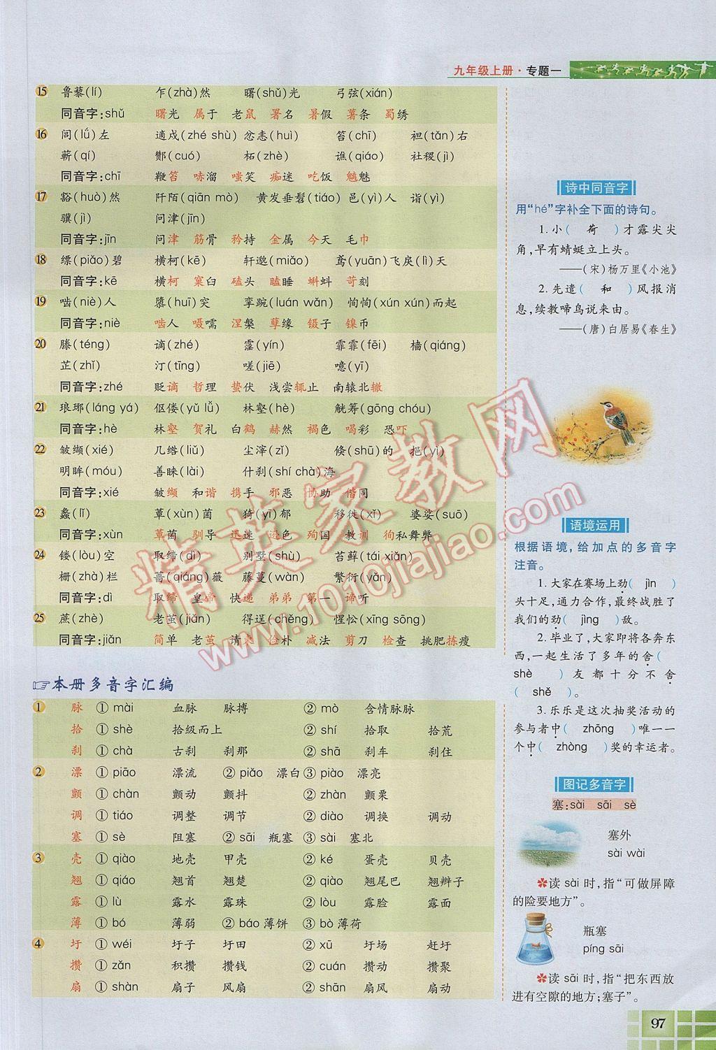 2017年见证奇迹英才学业设计与反馈九年级语文上册苏教版 语文知识专题第125页