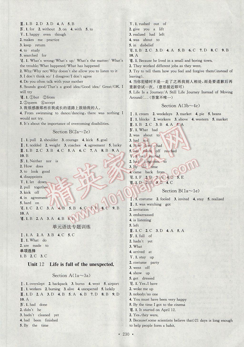 2017年思路教练同步课时作业九年级英语全一册人教版 参考答案第10页