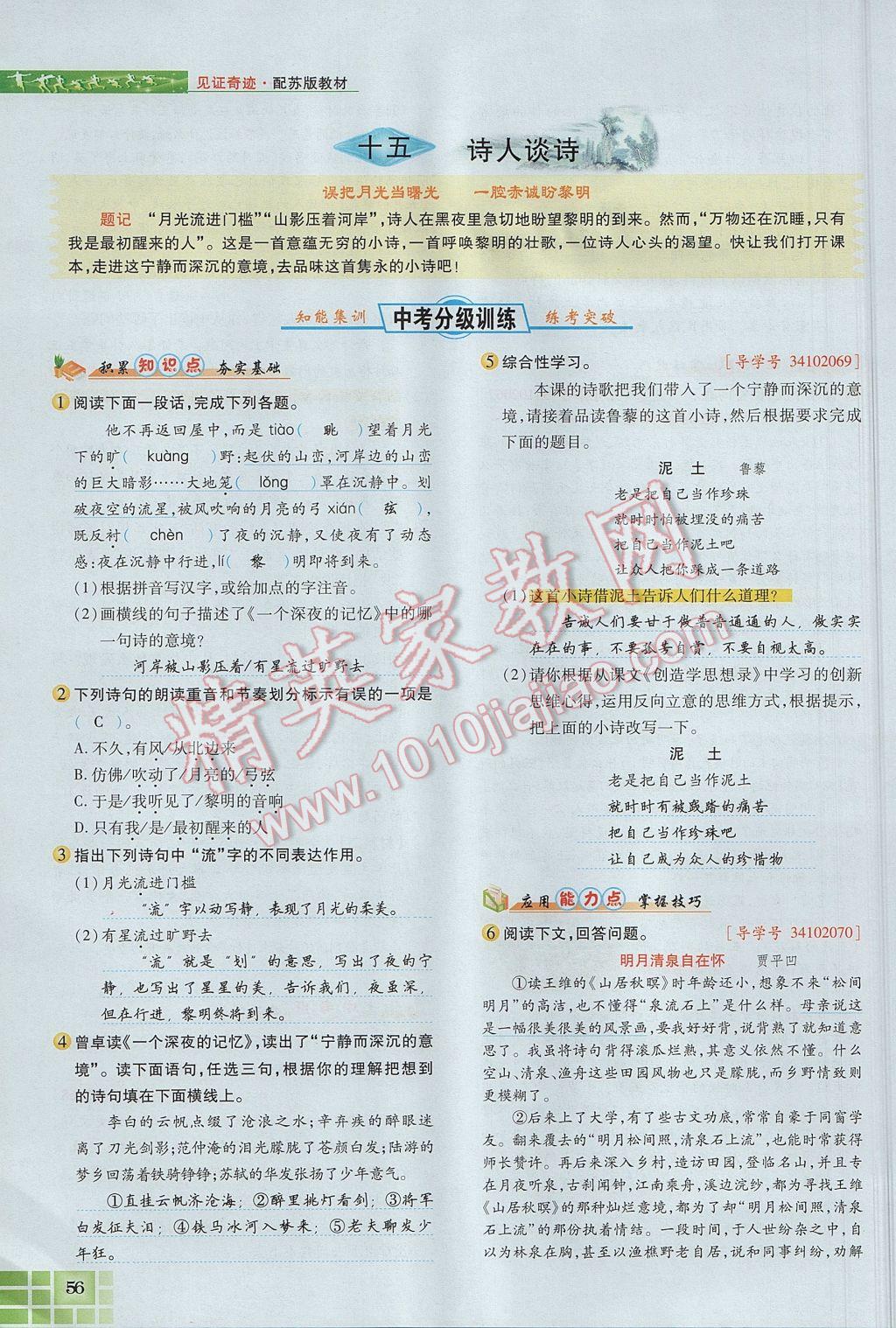 2017年见证奇迹英才学业设计与反馈九年级语文上册苏教版 第四单元第120页