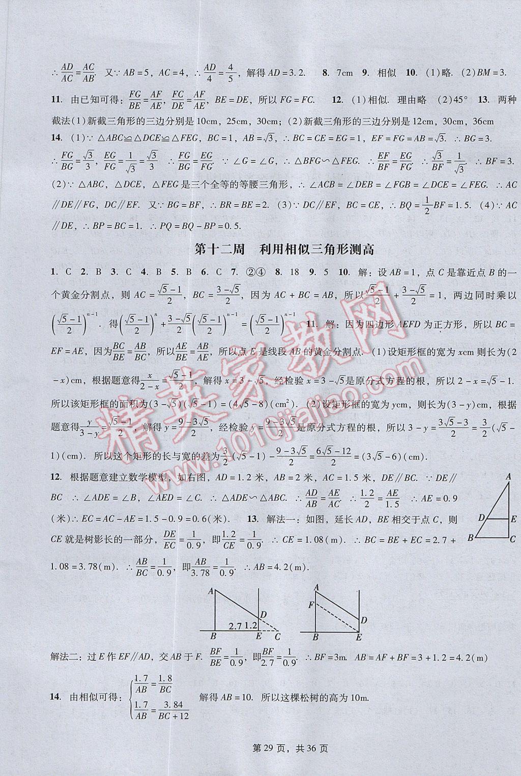 2017年深圳金卷初中數(shù)學課時作業(yè)AB本九年級上冊 參考答案第29頁