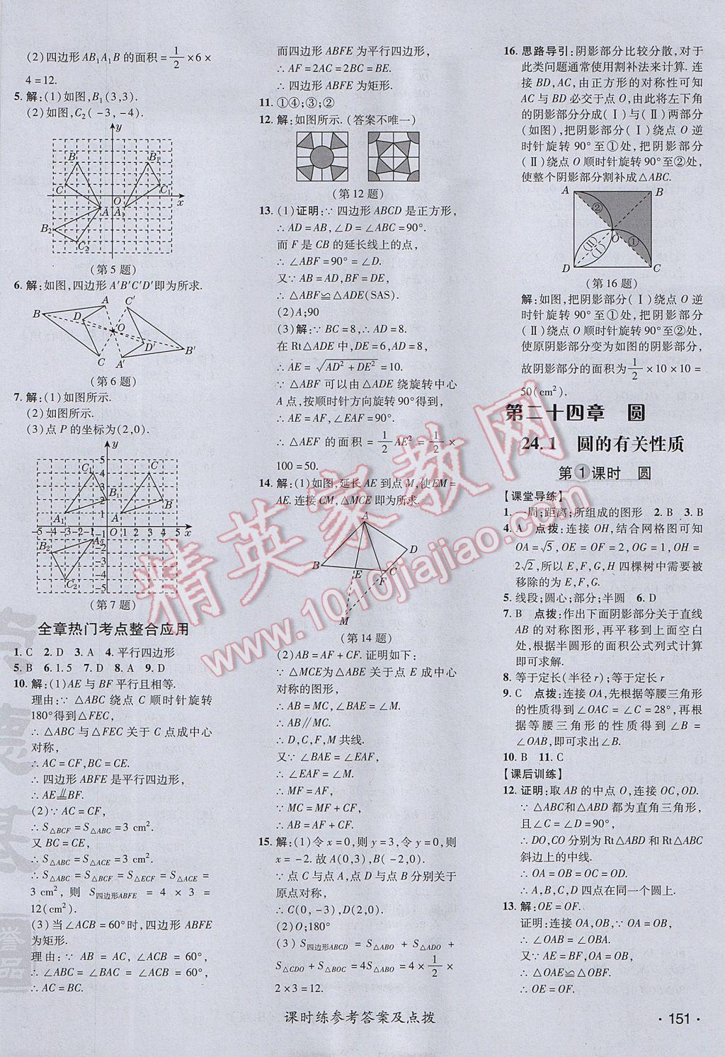 2017年点拨训练九年级数学上册人教版 参考答案第30页