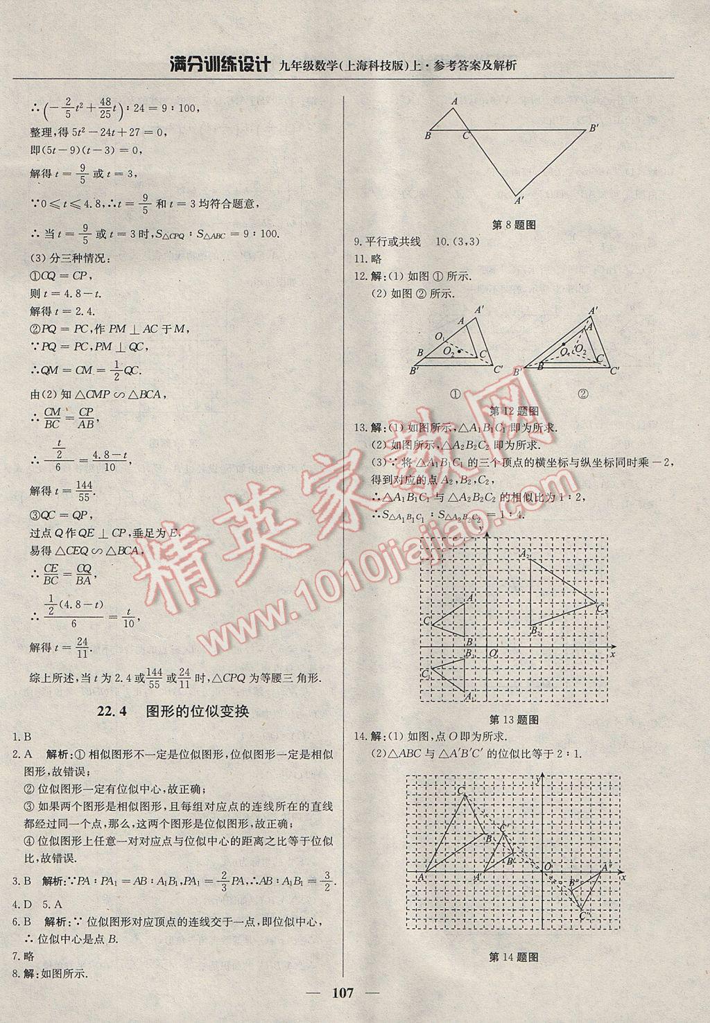 2017年满分训练设计九年级数学上册沪科版 参考答案第20页