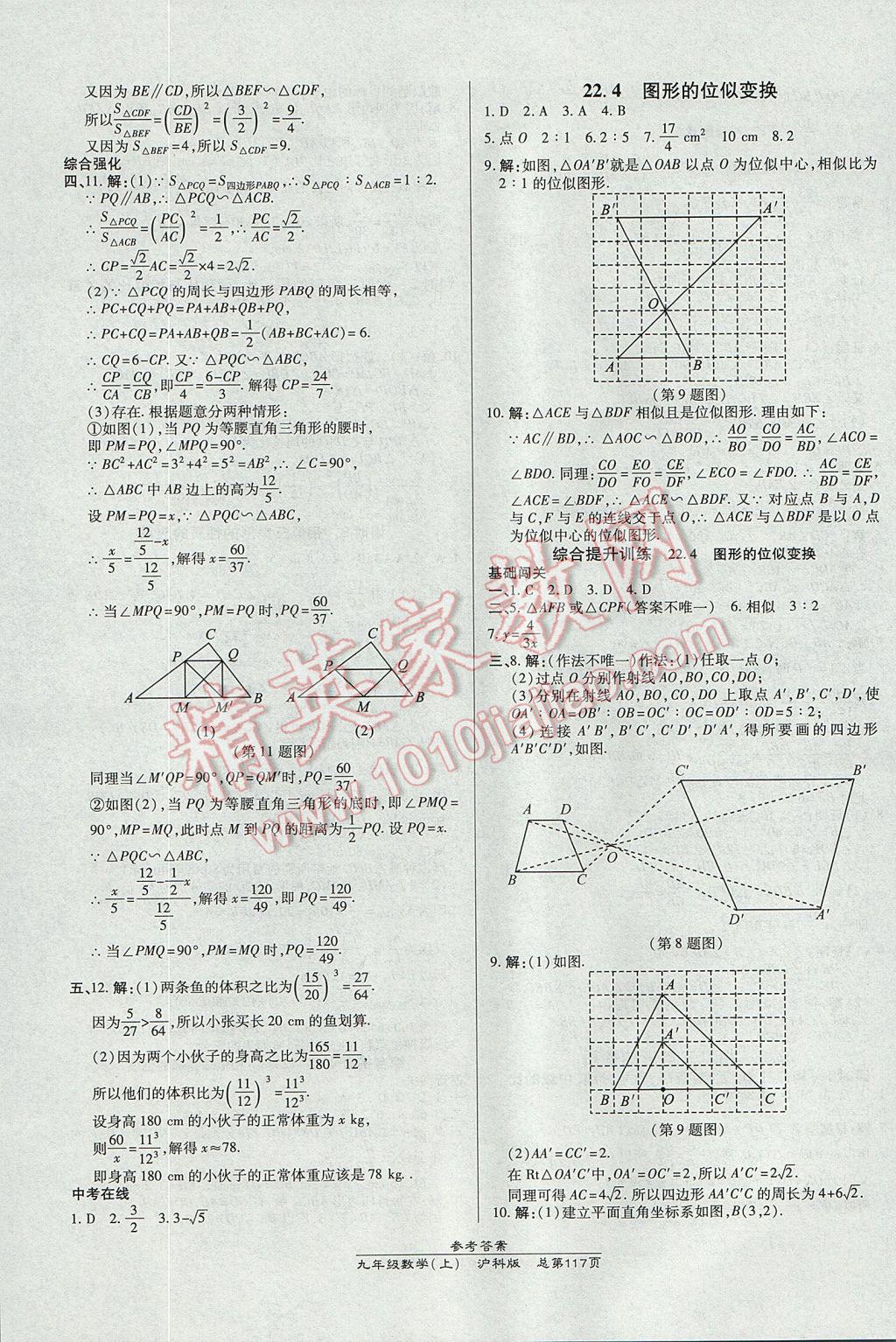 2017年高效课时通10分钟掌控课堂九年级数学上册沪科版 参考答案第11页