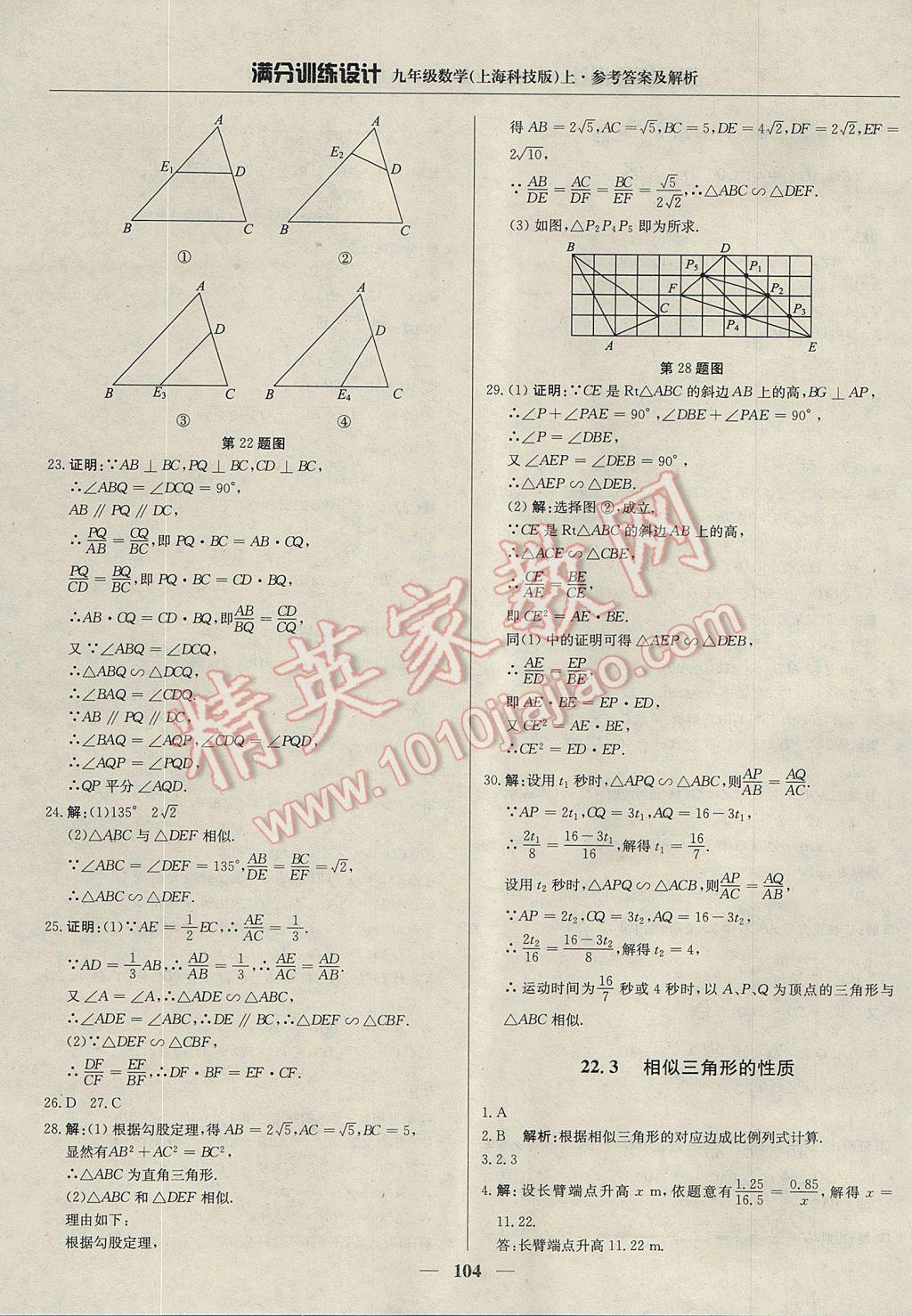 2017年满分训练设计九年级数学上册沪科版 参考答案第17页