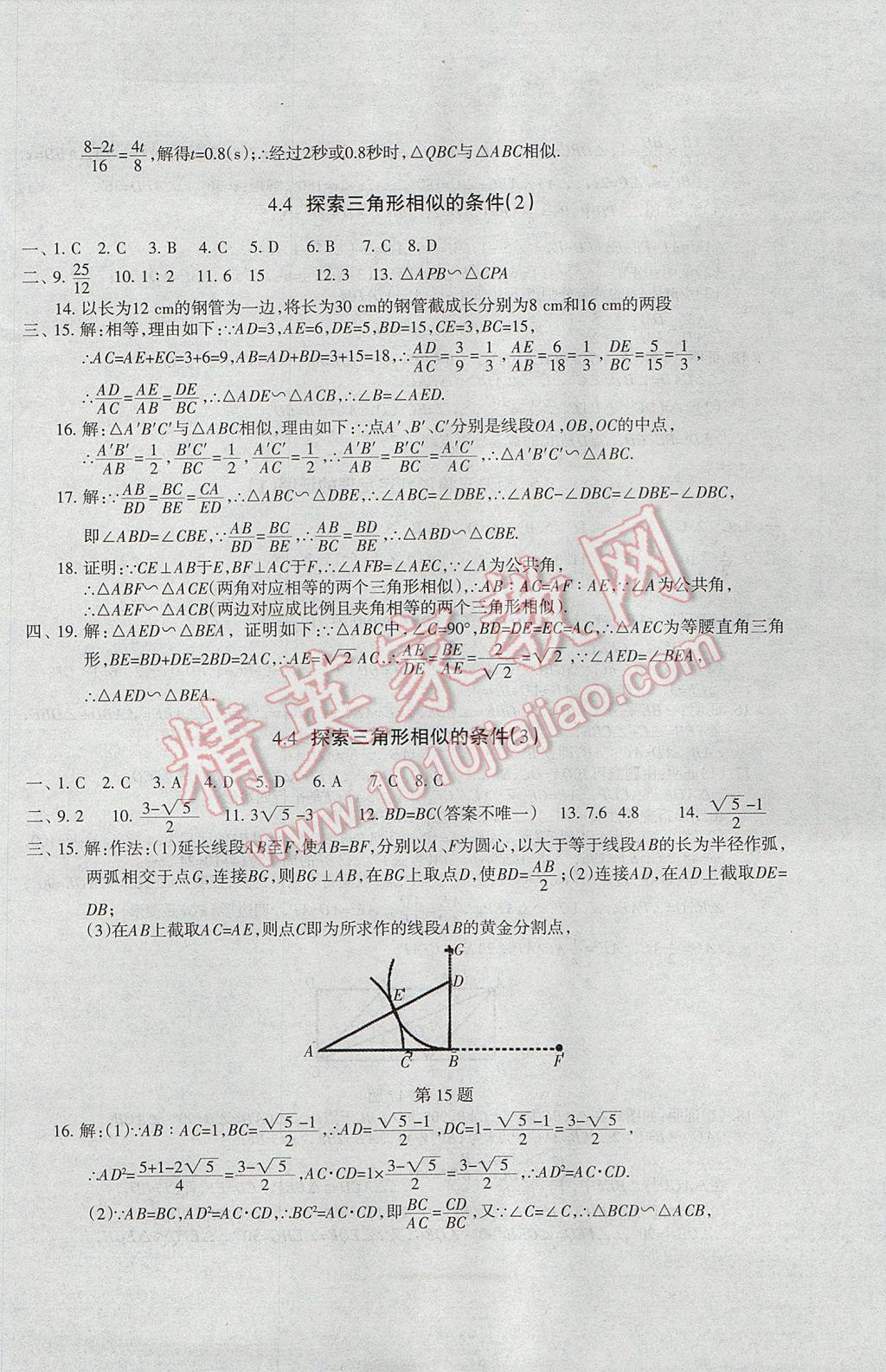 2017年樹人練案九年級數(shù)學(xué)全一冊北師大版 參考答案第22頁