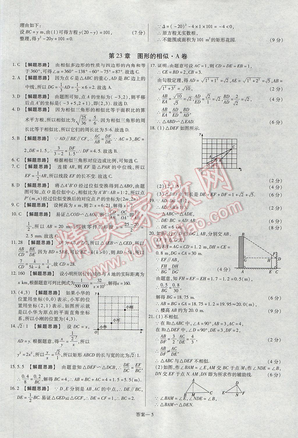 2017年金考卷活頁題選九年級(jí)數(shù)學(xué)上冊(cè)華師大版 參考答案第5頁