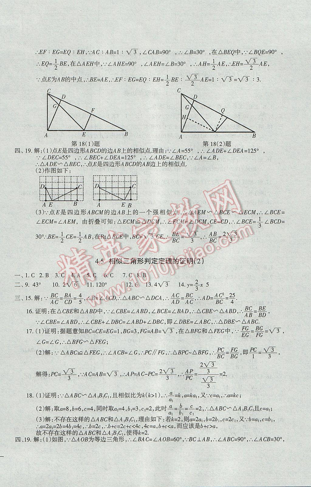 2017年樹人練案九年級(jí)數(shù)學(xué)全一冊(cè)北師大版 參考答案第24頁