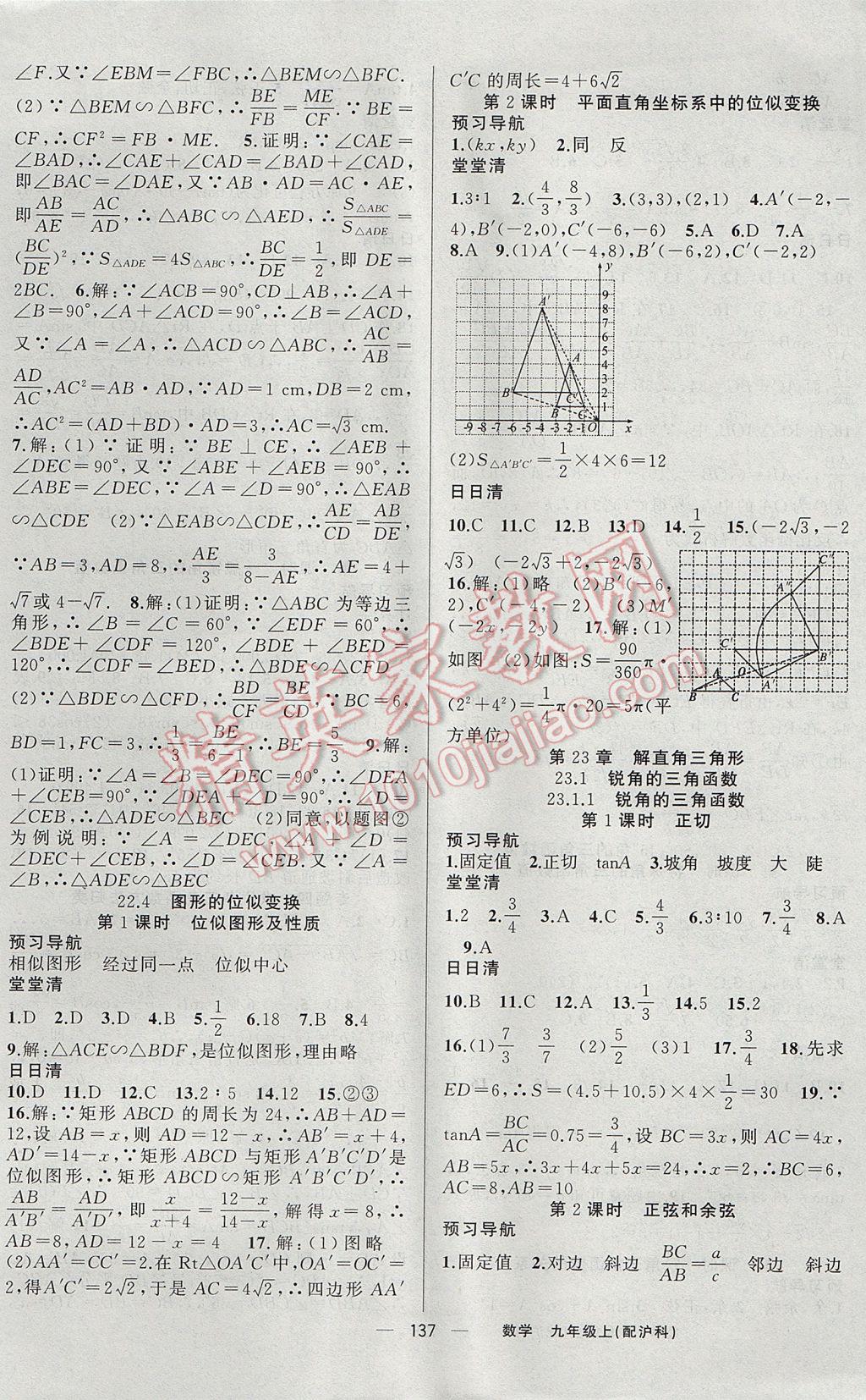 2017年四清導(dǎo)航九年級數(shù)學(xué)上冊滬科版 參考答案第10頁