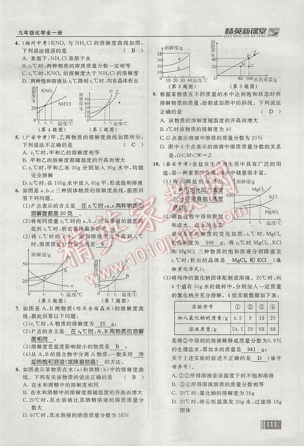 2017年精英新課堂九年級化學全一冊人教版貴陽專版 第九單元 溶液第89頁