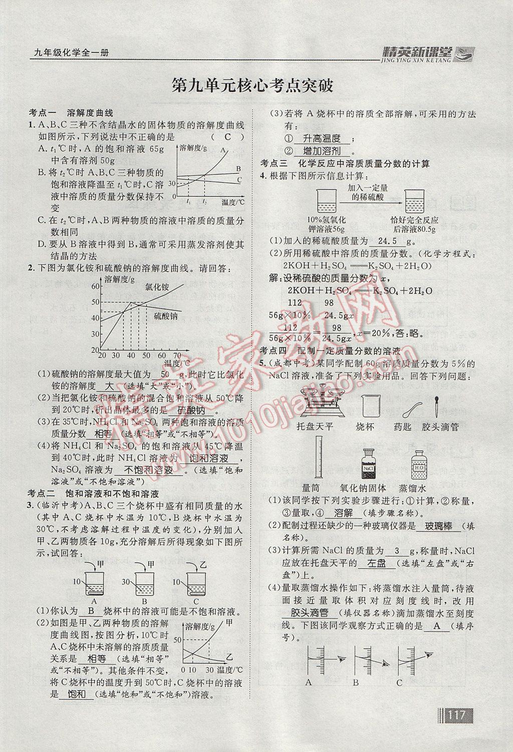 2017年精英新課堂九年級化學(xué)全一冊人教版貴陽專版 第九單元 溶液第95頁