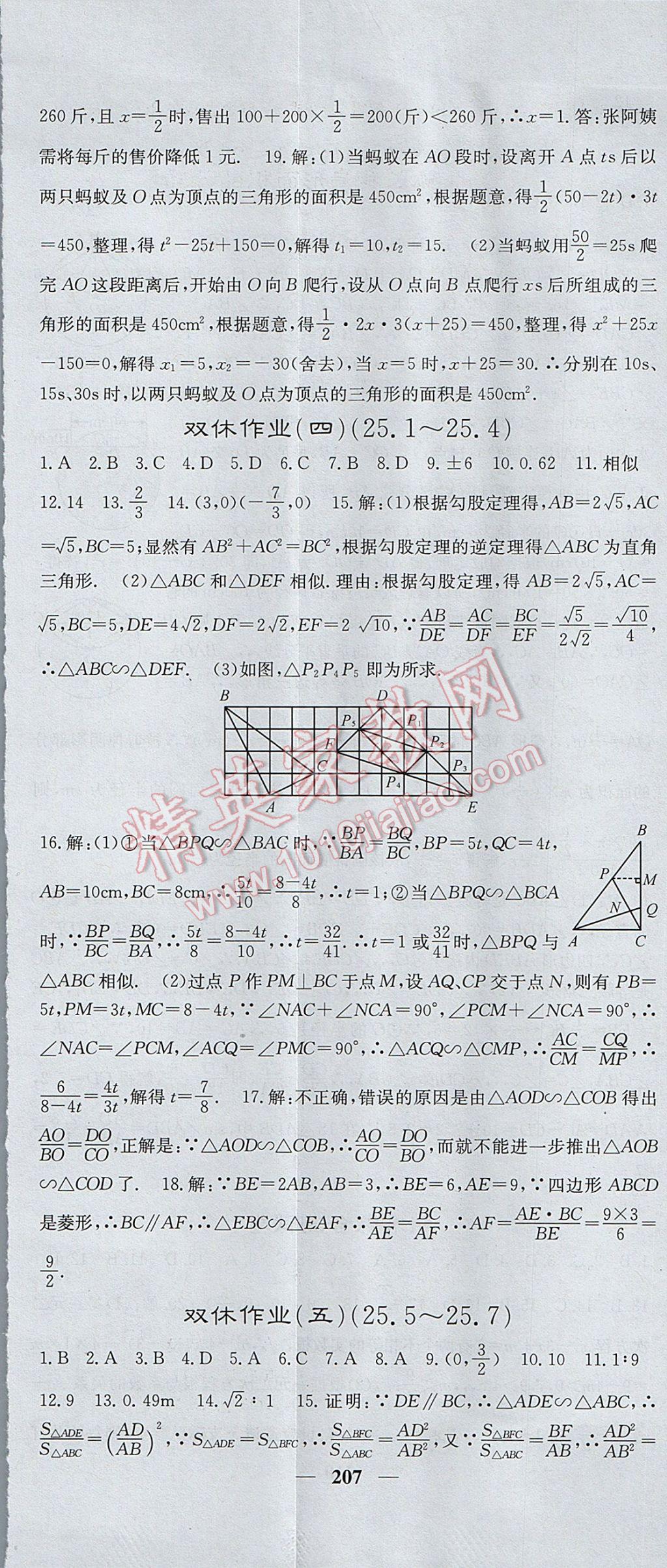 2017年名校課堂內(nèi)外九年級數(shù)學上冊冀教版 參考答案第44頁