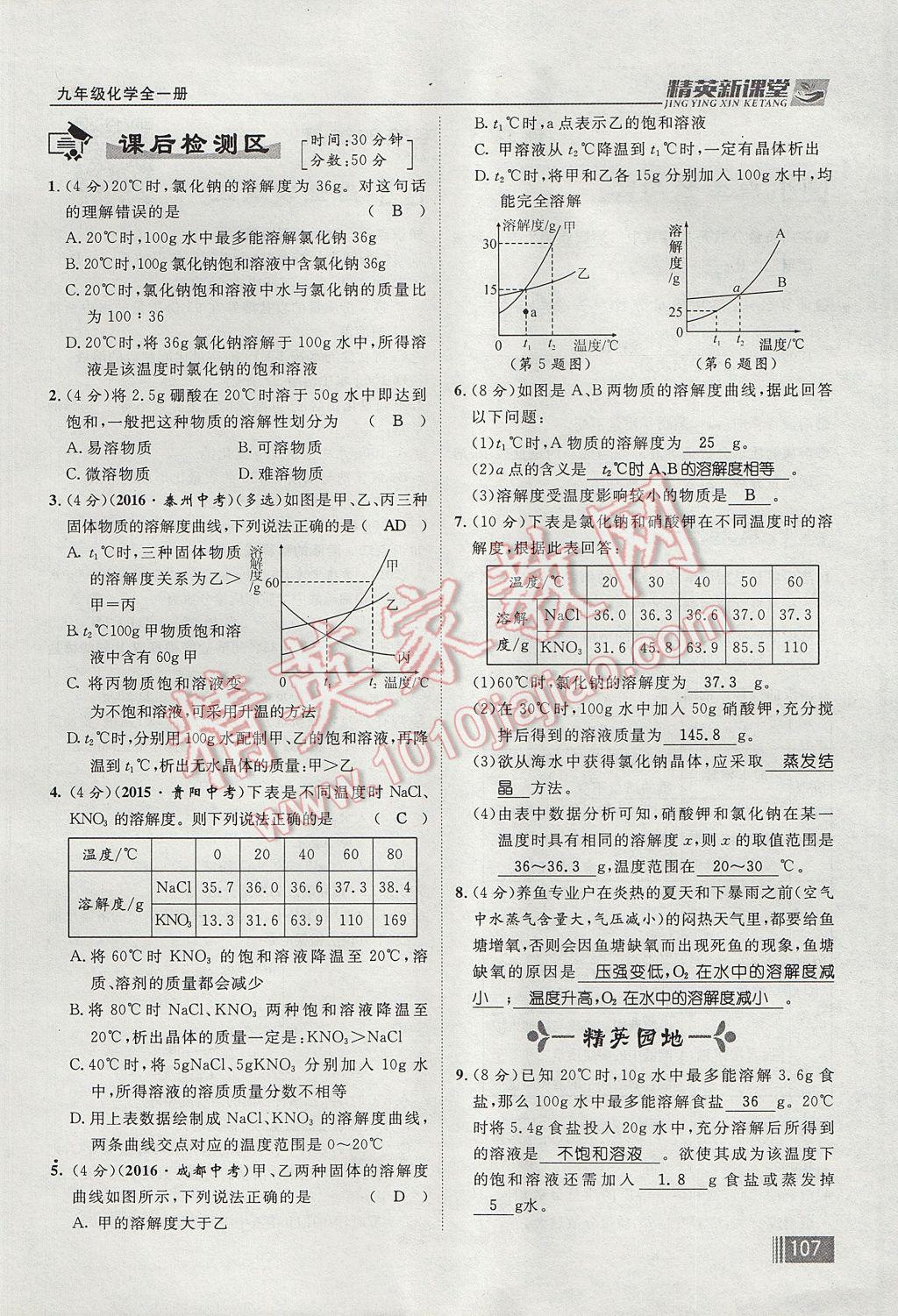 2017年精英新課堂九年級化學全一冊人教版貴陽專版 第九單元 溶液第85頁