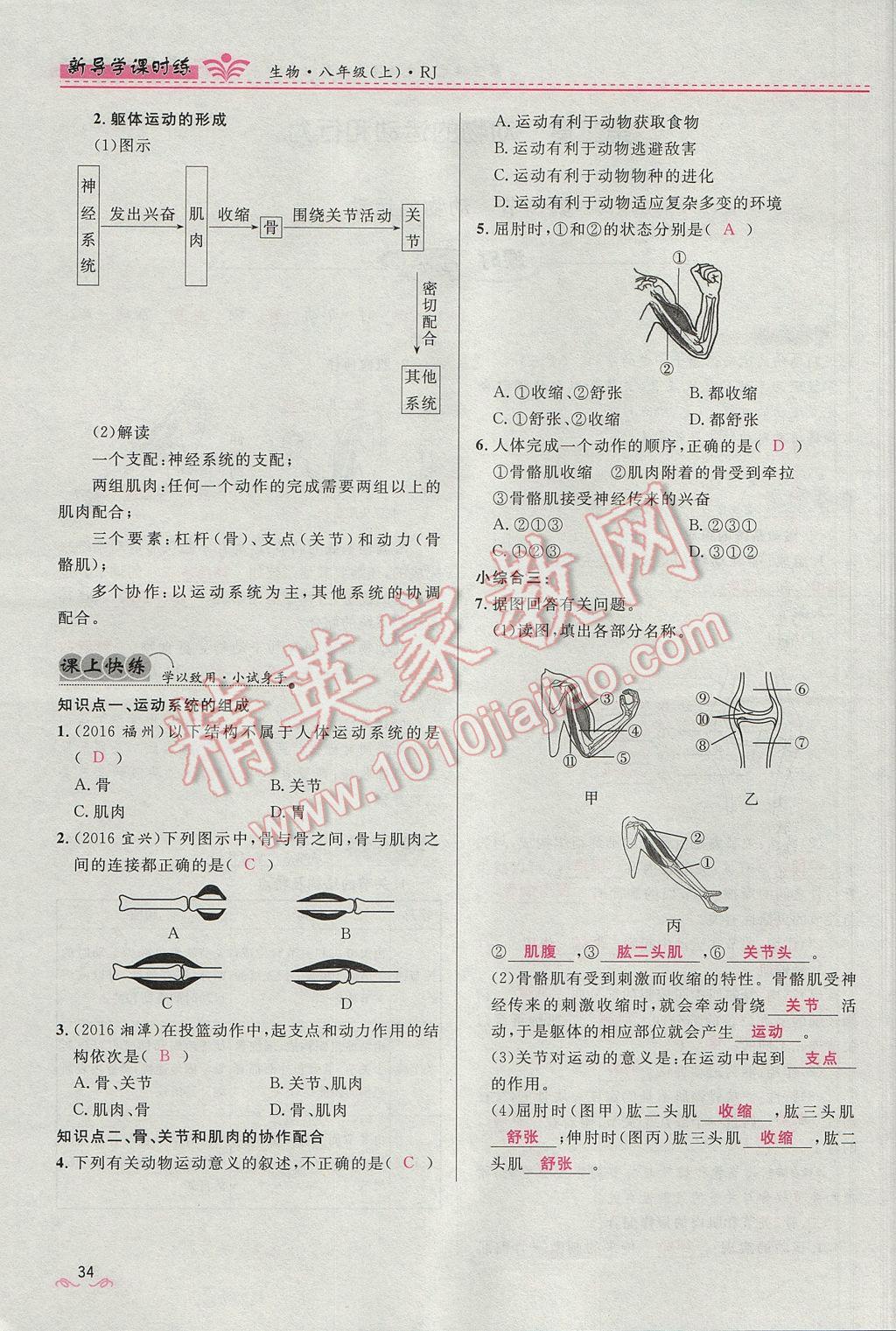 2017年奪冠百分百新導(dǎo)學(xué)課時練八年級生物上冊人教版 第五單元第34頁