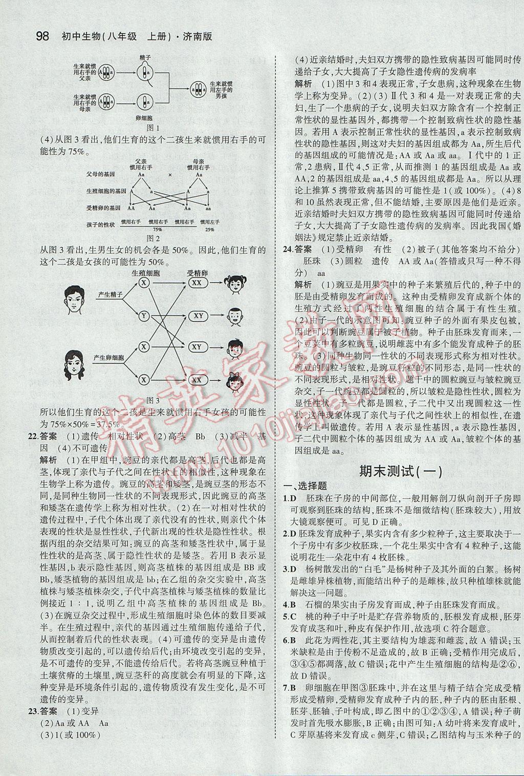 2017年5年中考3年模拟初中生物八年级上册济南版 参考答案第31页