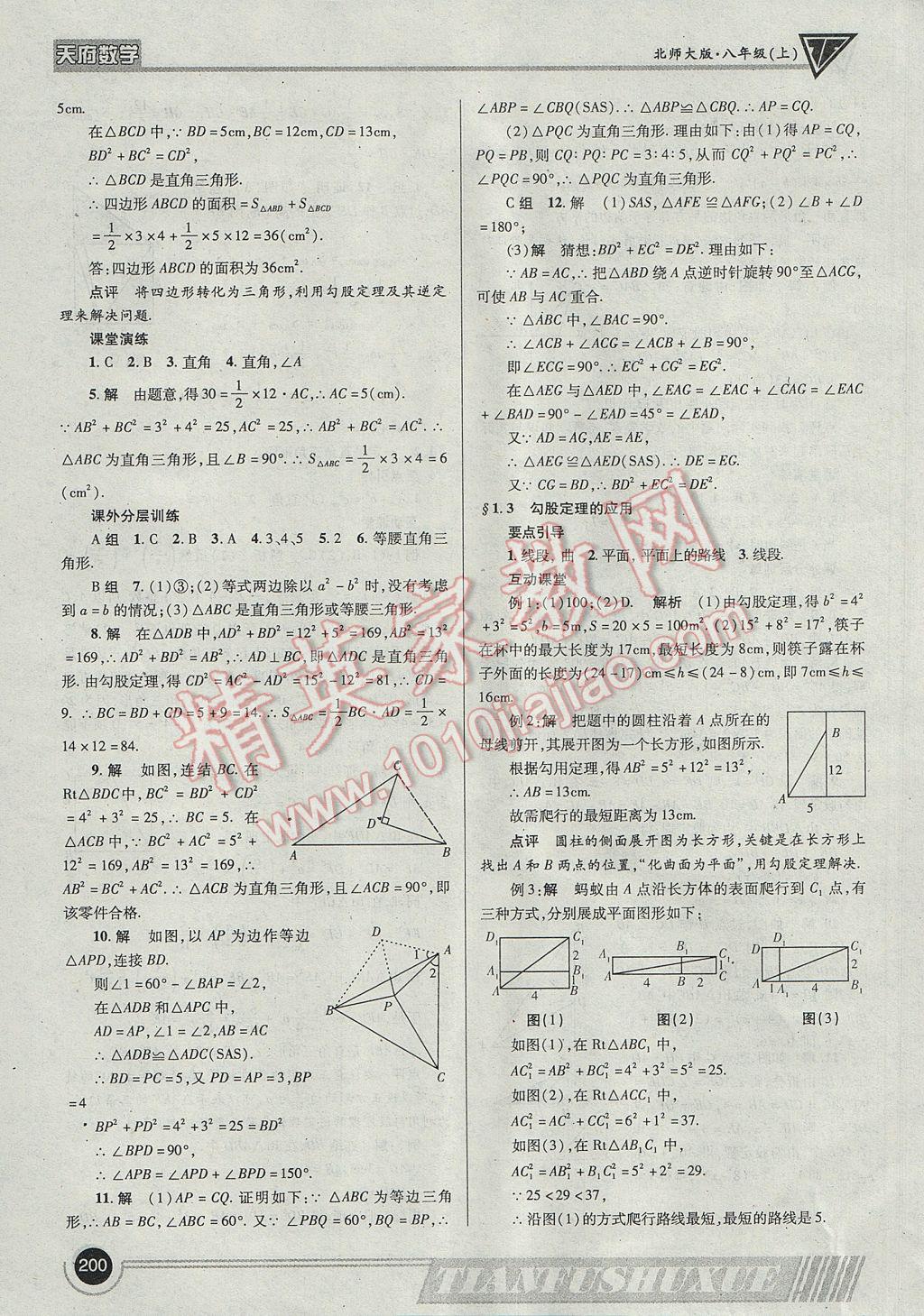 2017年天府数学八年级上册北师大版 参考答案第3页