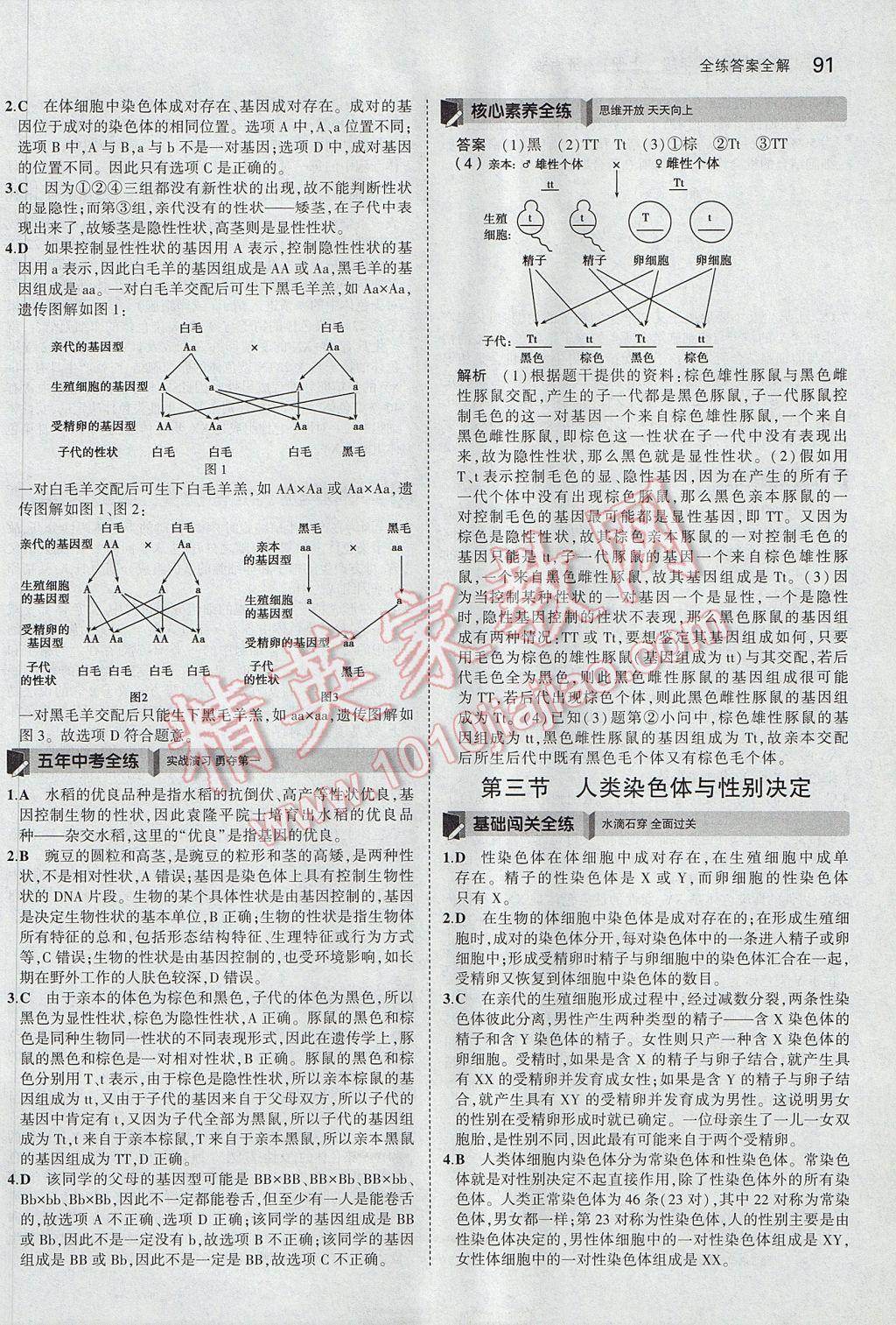 2017年5年中考3年模擬初中生物八年級上冊濟南版 參考答案第24頁