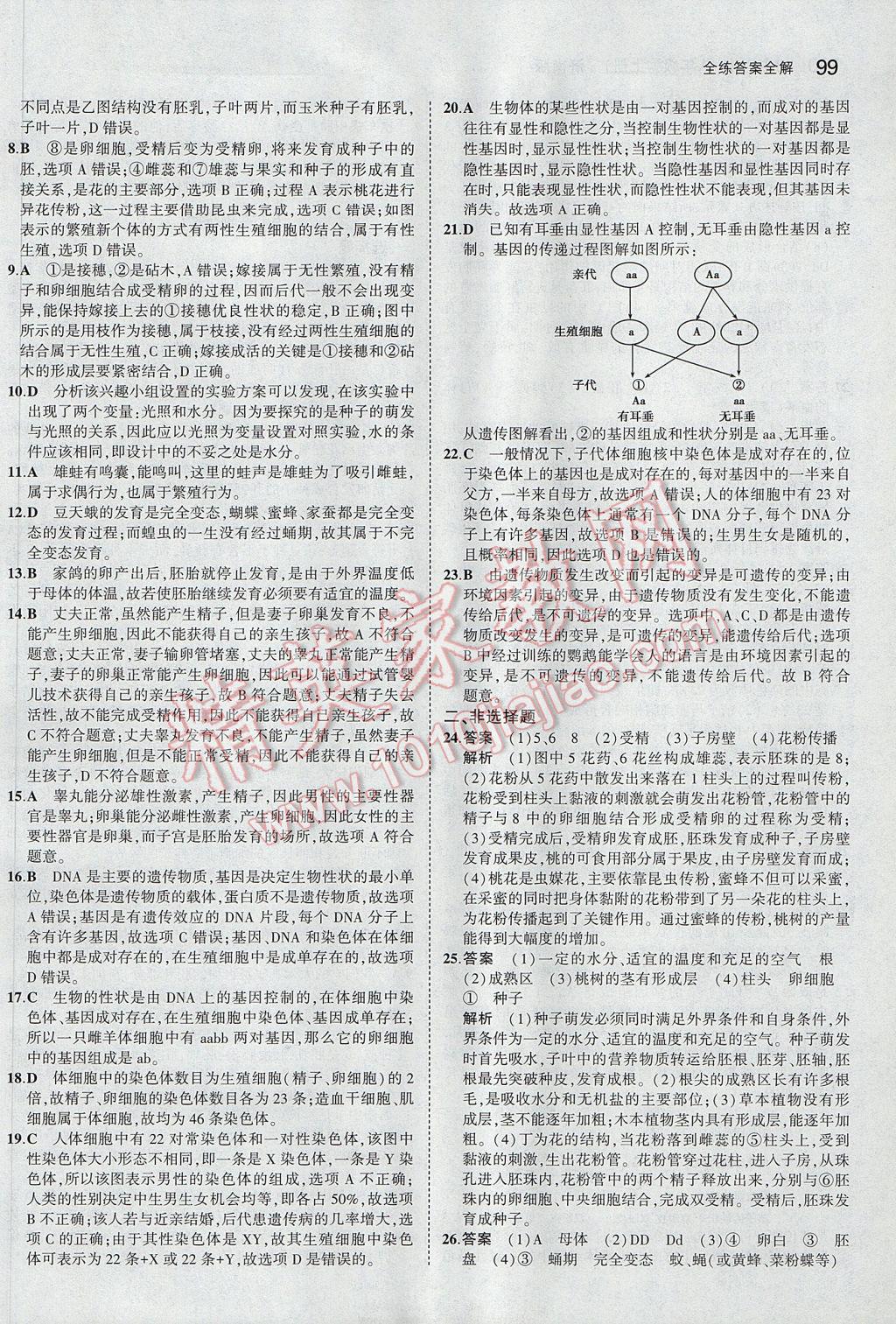 2017年5年中考3年模擬初中生物八年級上冊濟南版 參考答案第32頁