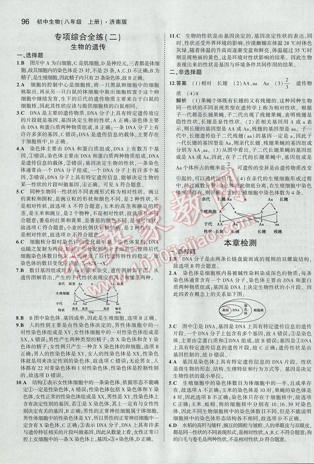 2017年5年中考3年模擬初中生物八年級上冊濟南版 參考答案第29頁