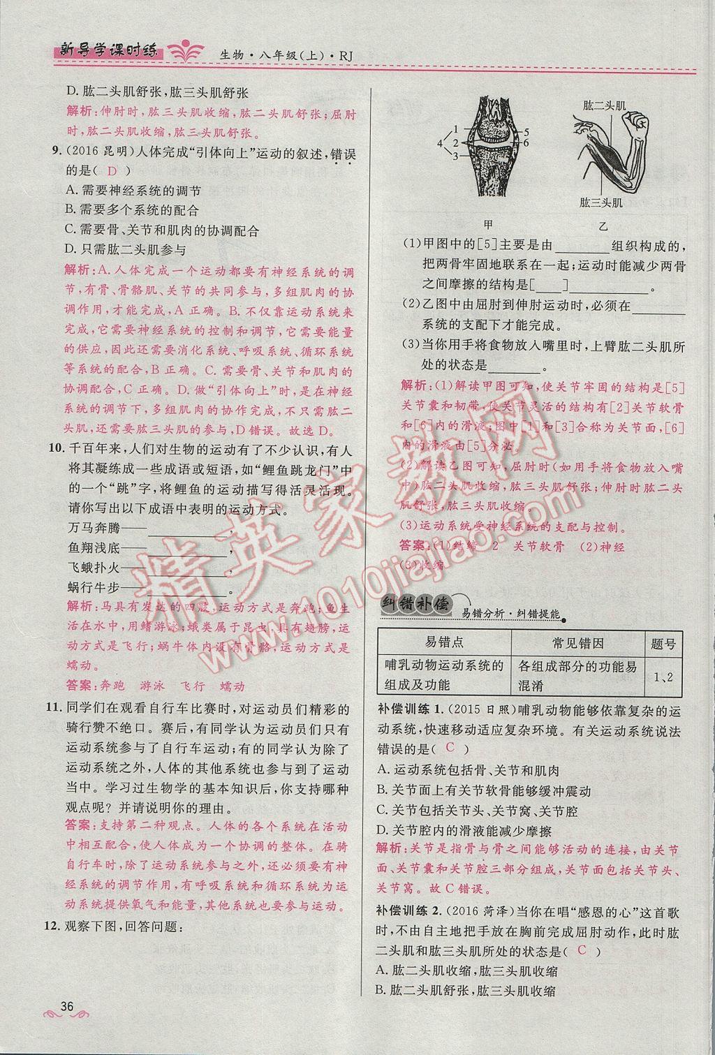 2017年奪冠百分百新導(dǎo)學(xué)課時(shí)練八年級(jí)生物上冊(cè)人教版 第五單元第36頁