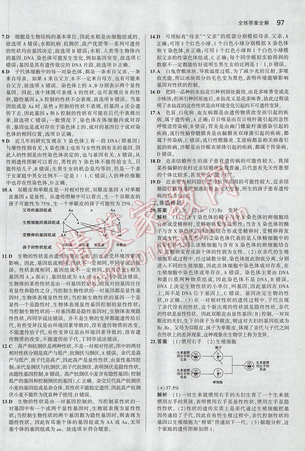 2017年5年中考3年模擬初中生物八年級上冊濟南版 參考答案第30頁