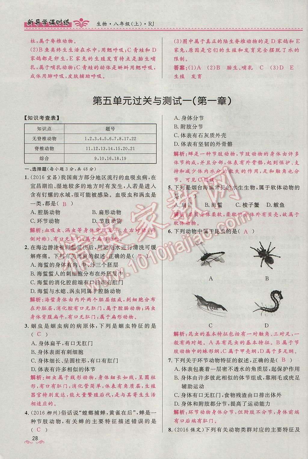 2017年奪冠百分百新導(dǎo)學(xué)課時練八年級生物上冊人教版 第五單元第28頁