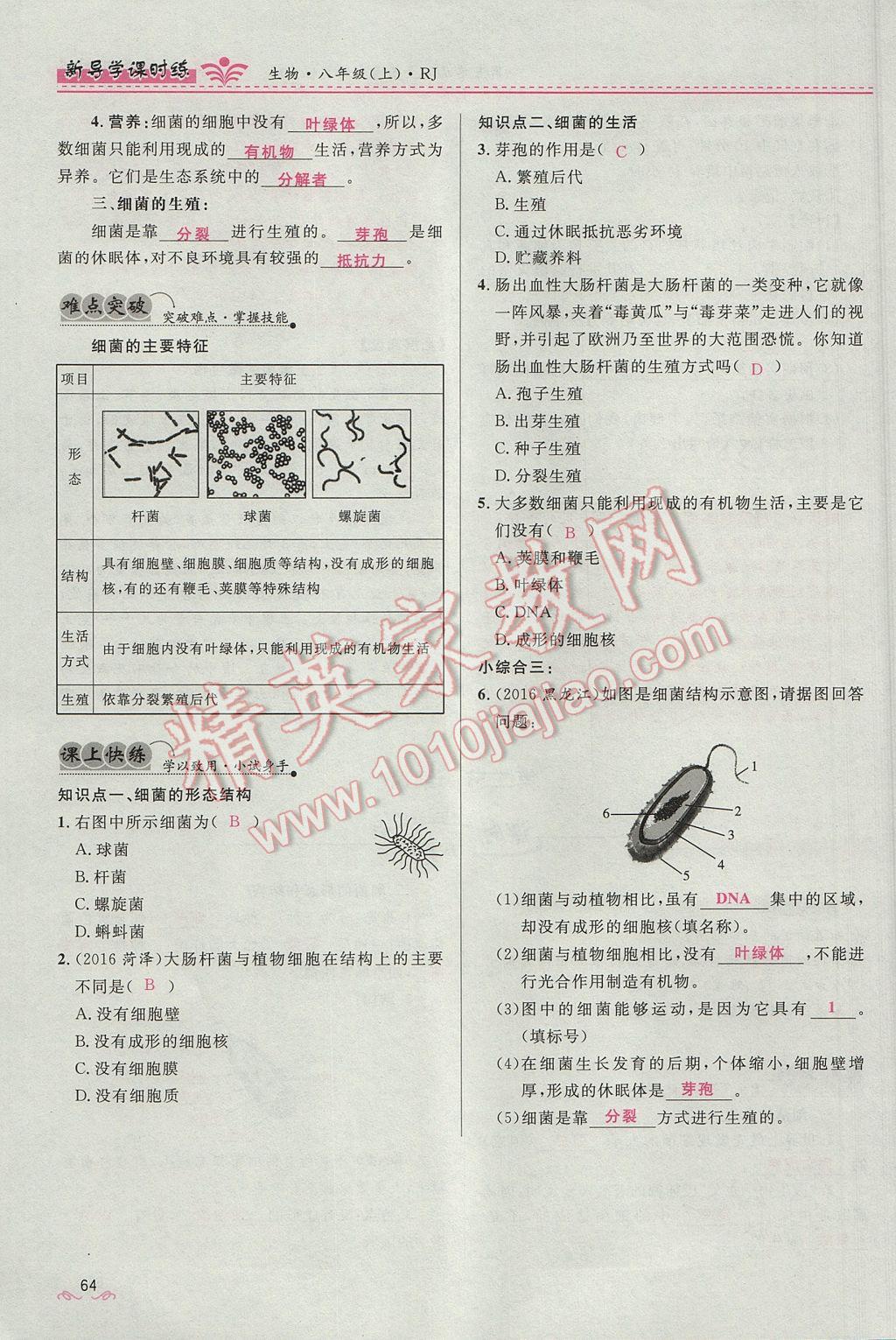 2017年奪冠百分百新導(dǎo)學(xué)課時(shí)練八年級(jí)生物上冊(cè)人教版 第五單元第64頁(yè)