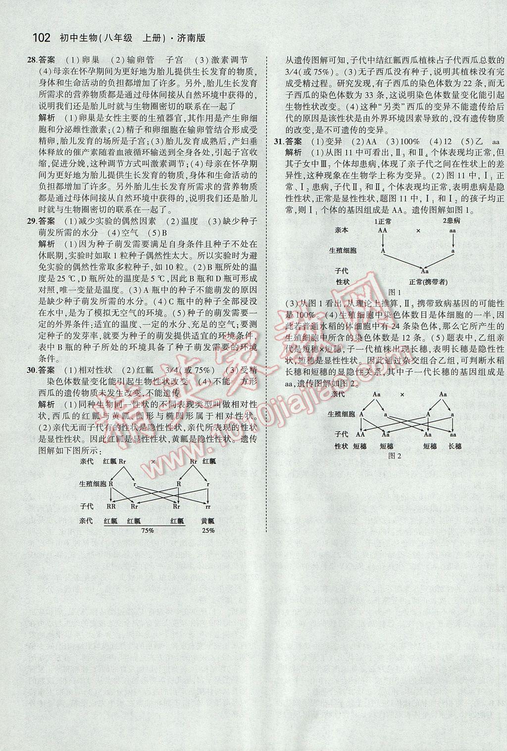 2017年5年中考3年模拟初中生物八年级上册济南版 参考答案第35页