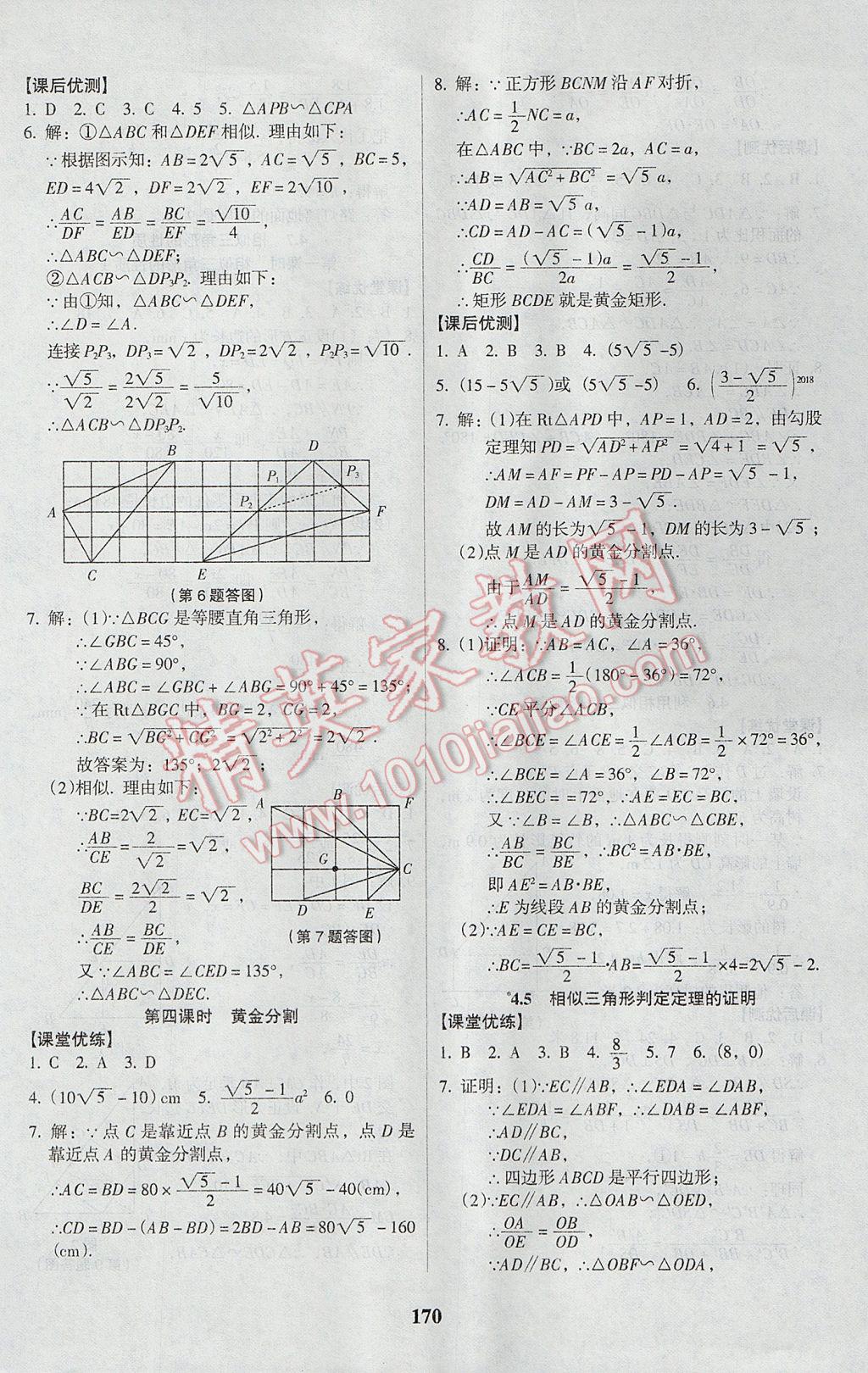 2017年全优点练课计划九年级数学上册北师大版 参考答案第22页