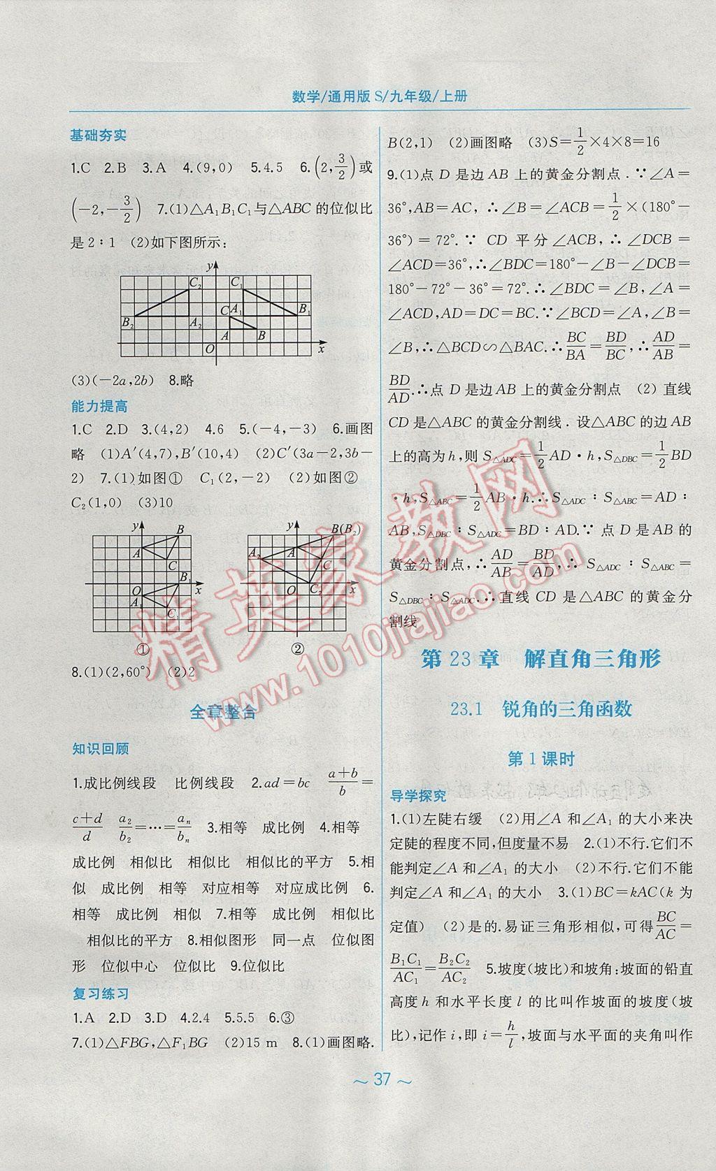 2017年新編基礎(chǔ)訓(xùn)練九年級數(shù)學(xué)上冊通用S版安徽教育出版社 參考答案第17頁