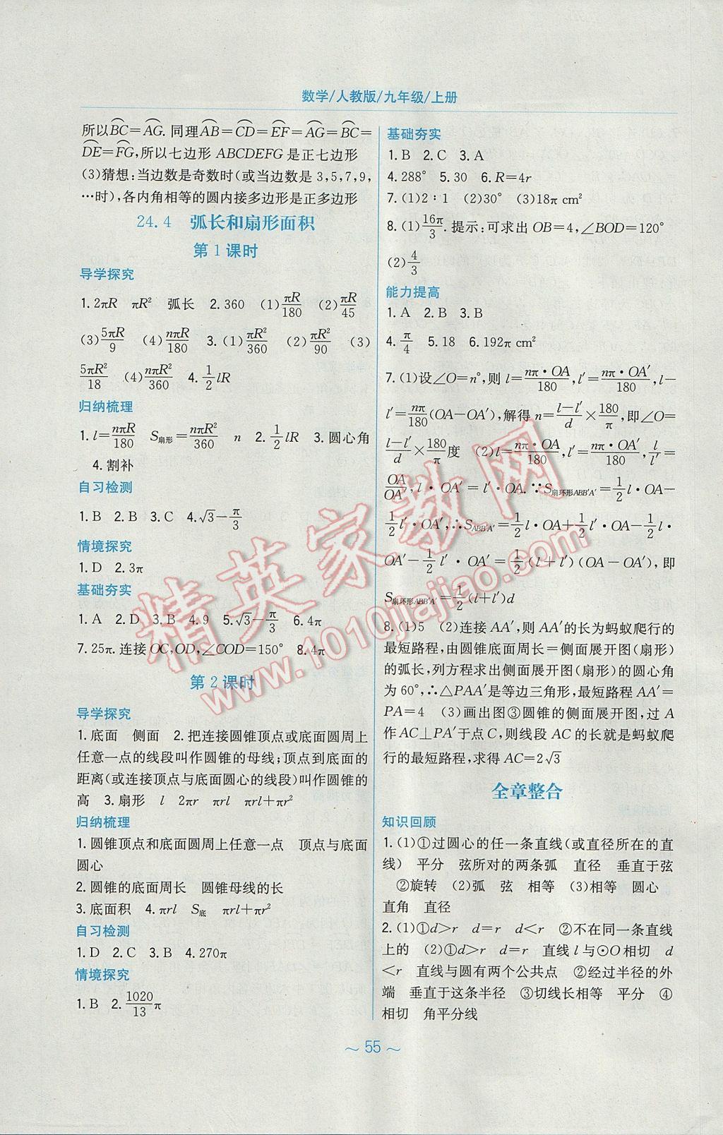 2017年新编基础训练九年级数学上册人教版 参考答案第19页