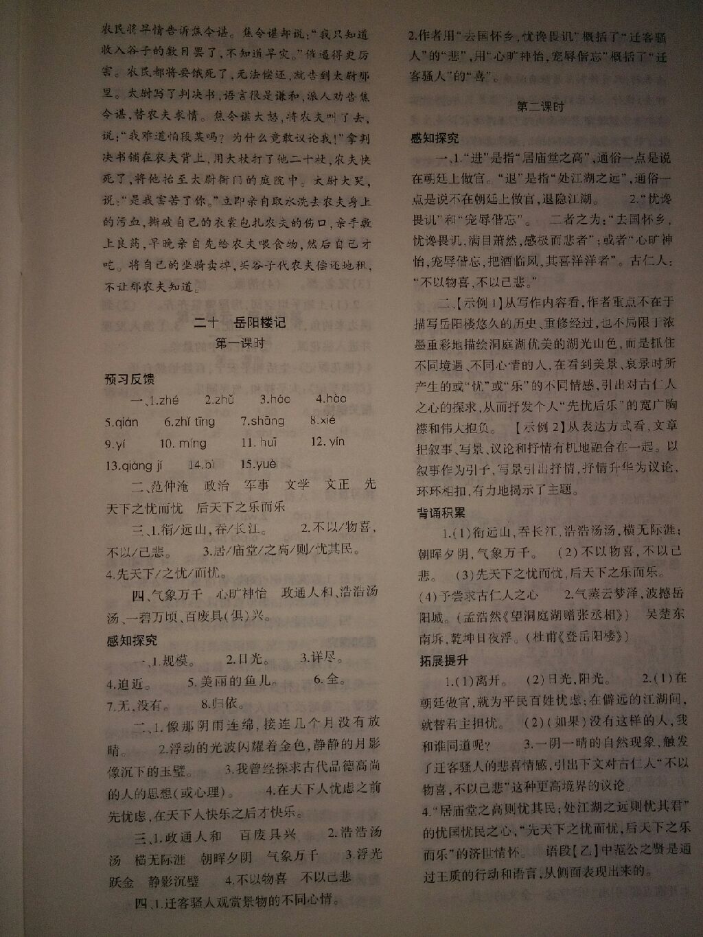 2017年基礎訓練九年級語文全一冊蘇教版河南省內專用大象出版社 參考答案第46頁