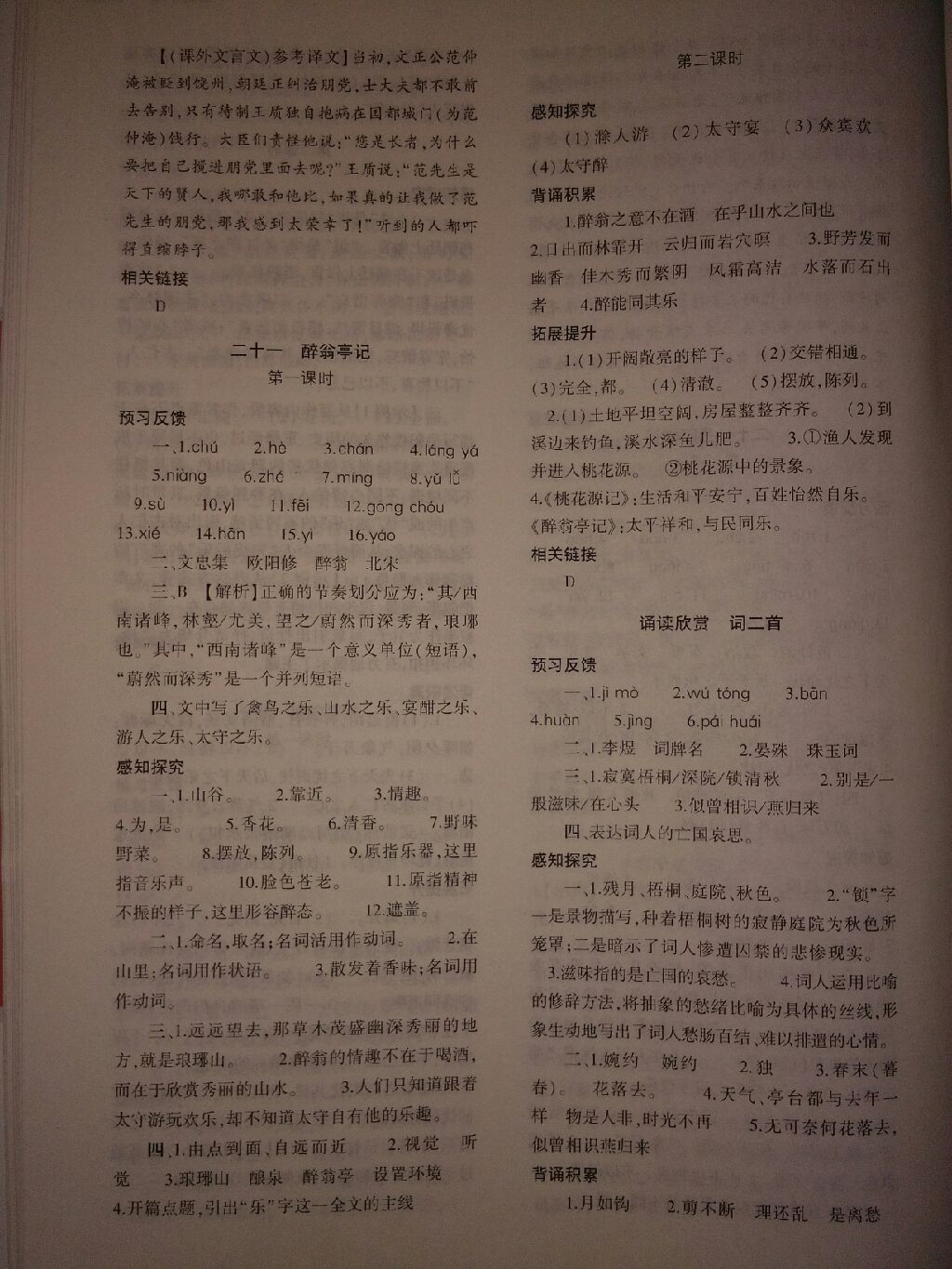 2017年基礎(chǔ)訓(xùn)練九年級語文全一冊蘇教版河南省內(nèi)專用大象出版社 參考答案第45頁