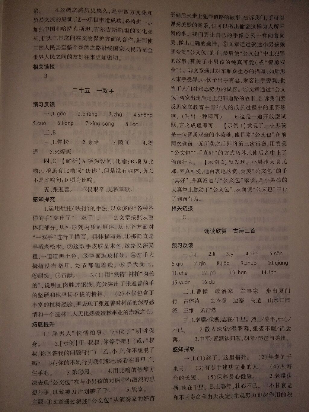 2017年基礎(chǔ)訓(xùn)練九年級語文全一冊蘇教版河南省內(nèi)專用大象出版社 參考答案第42頁