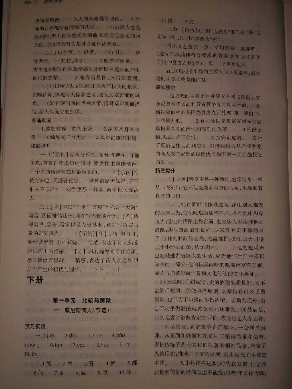 2017年基礎訓練九年級語文全一冊蘇教版河南省內專用大象出版社 參考答案第41頁