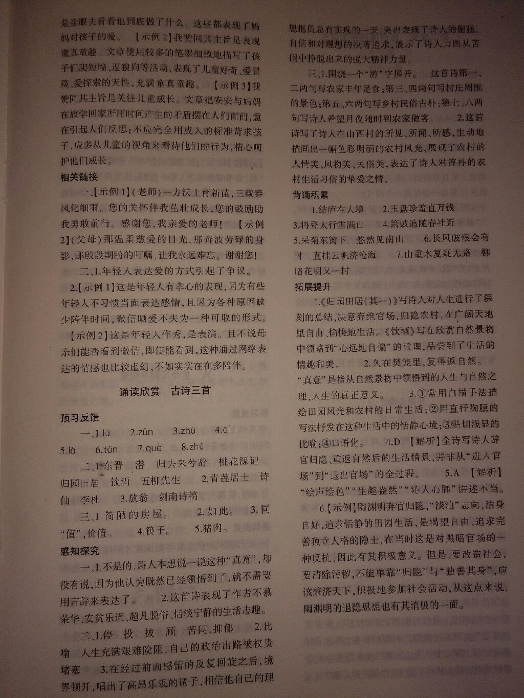 2017年基礎(chǔ)訓(xùn)練九年級語文全一冊蘇教版河南省內(nèi)專用大象出版社 參考答案第38頁