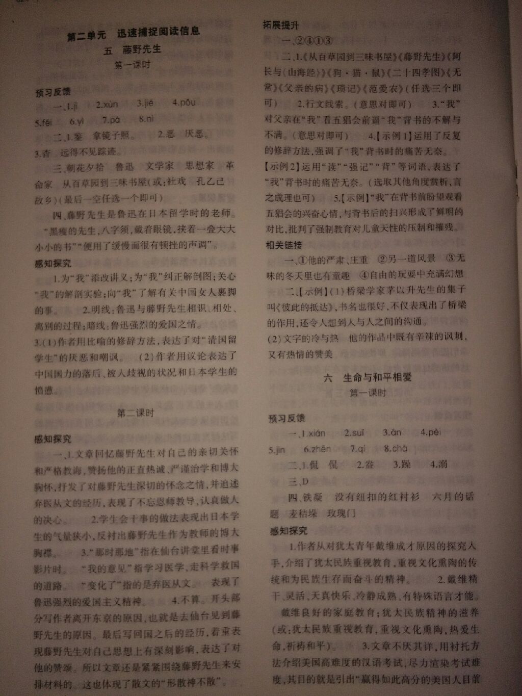 2017年基礎(chǔ)訓(xùn)練九年級(jí)語文全一冊(cè)蘇教版河南省內(nèi)專用大象出版社 參考答案第25頁