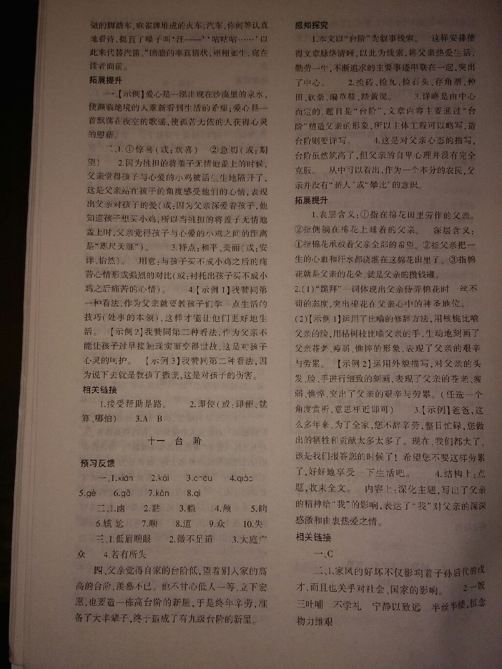 2017年基礎(chǔ)訓(xùn)練九年級(jí)語文全一冊(cè)蘇教版河南省內(nèi)專用大象出版社 參考答案第9頁