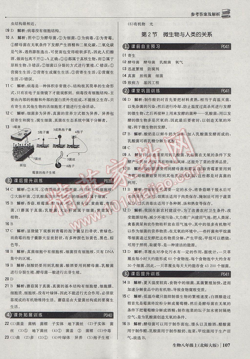 2017年1加1輕巧奪冠優(yōu)化訓(xùn)練八年級生物上冊北師大版銀版 參考答案第12頁