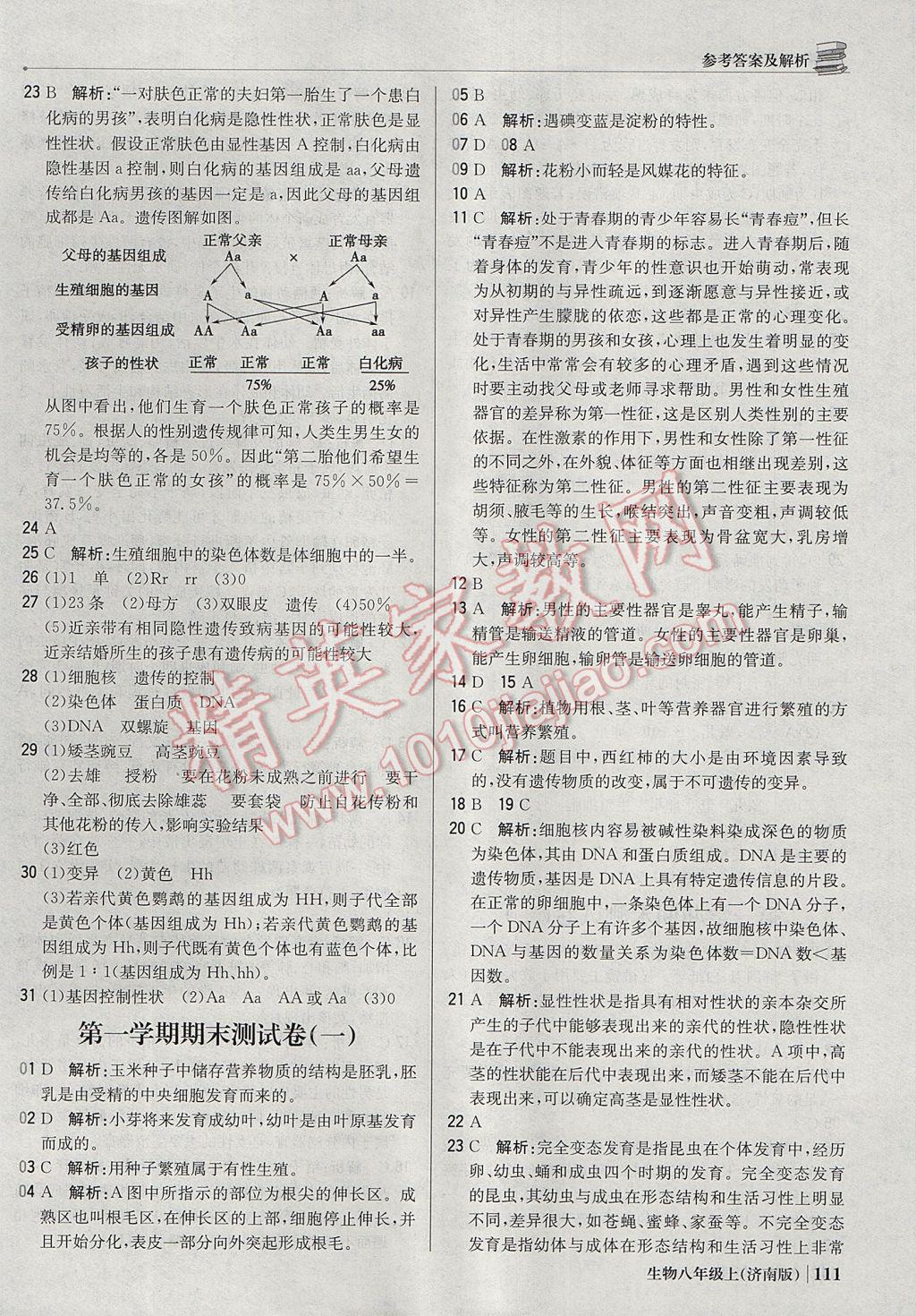 2017年1加1轻巧夺冠优化训练八年级生物上册济南版银版 参考答案第24页