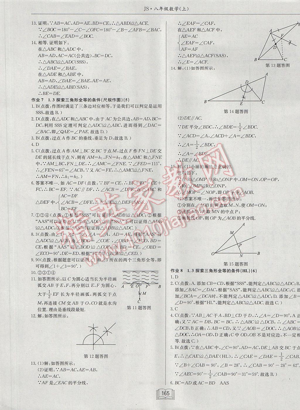 2017年启东中学作业本八年级数学上册江苏版 参考答案第5页