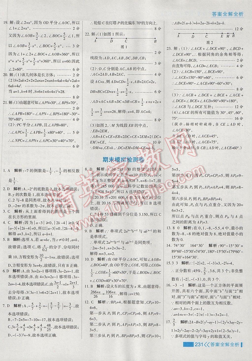 2017年考點集訓與滿分備考七年級數(shù)學上冊 參考答案第55頁