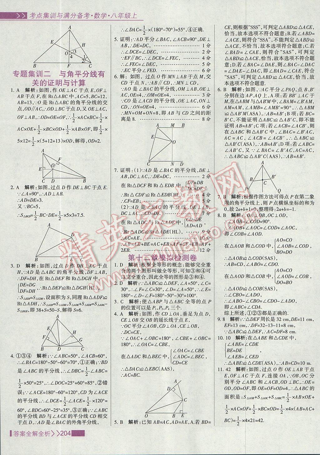 2017年考點(diǎn)集訓(xùn)與滿(mǎn)分備考八年級(jí)數(shù)學(xué)上冊(cè) 參考答案第20頁(yè)