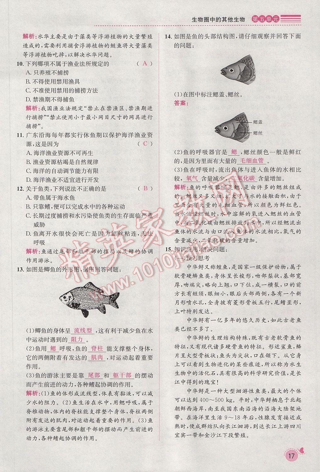 2017年思路教練同步課時作業(yè)八年級生物上冊人教版 第五單元第40頁