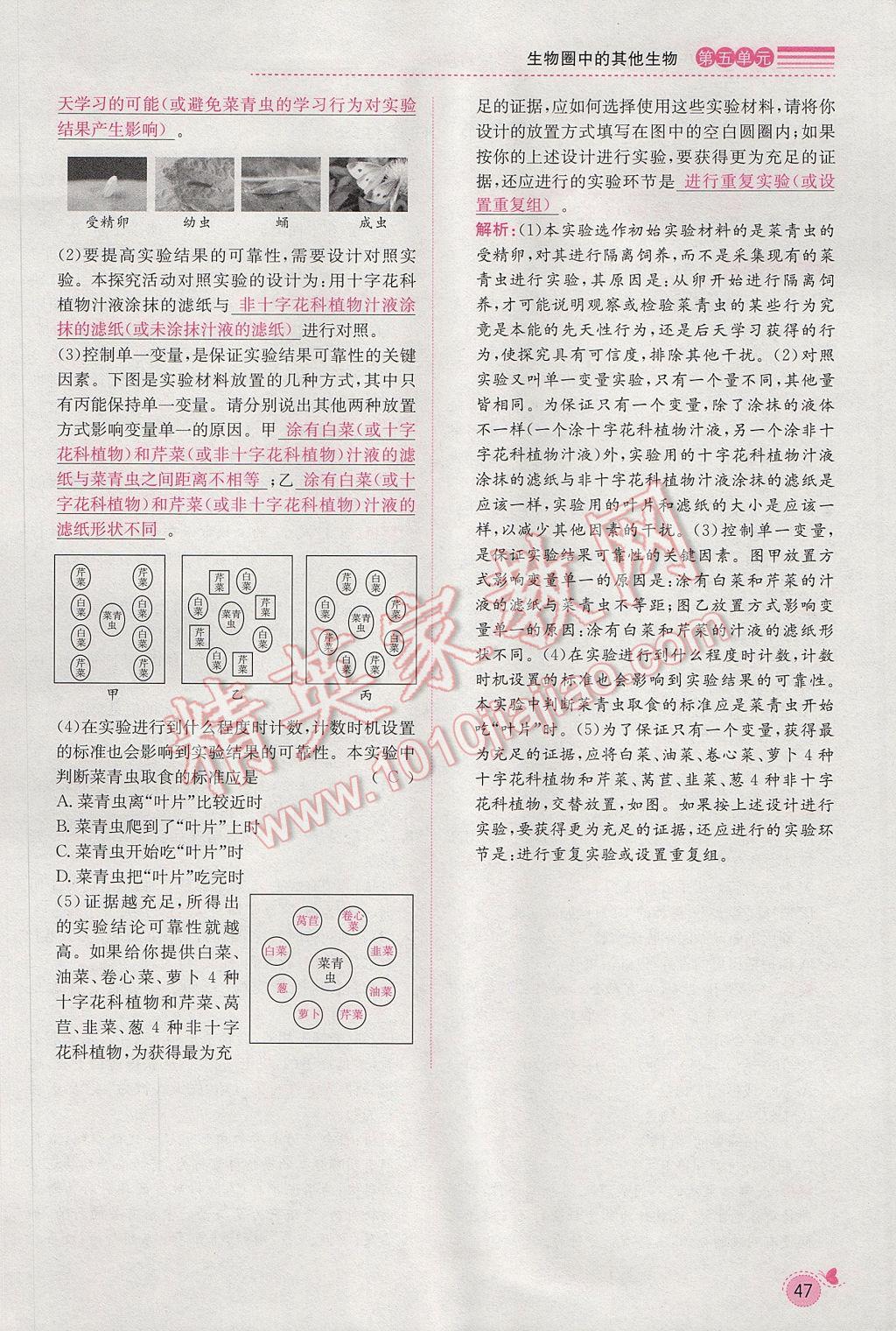 2017年思路教練同步課時作業(yè)八年級生物上冊人教版 第五單元第70頁