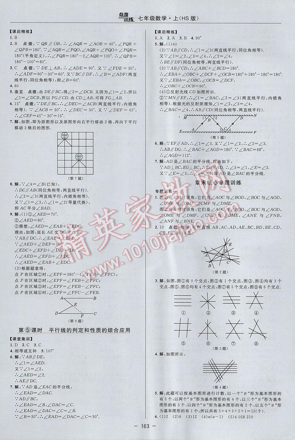 2017年点拨训练七年级数学上册华师大版 参考答案第31页